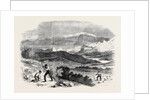 Garibaldi Digging Roots in His Favourite Garden Caprera by Anonymous