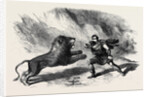 Mr. Crockett the Lion Tamer Performing with His Lions at Astley's Theatre the Lion Conqueror or the Death Jungle by Anonymous