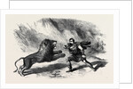Mr. Crockett the Lion Tamer Performing with His Lions at Astley's Theatre the Lion Conqueror or the Death Jungle by Anonymous