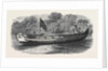 Birch-Bark Canoe Presented to His Royal Highness the Prince of Wales by the Governor of the Hudson's Bay Company by Anonymous