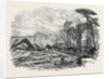 The Gale of Last Week Ruins of the North Wing of Sydenham Crystal Palace February 1861 by Anonymous