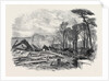 The Gale of Last Week Ruins of the North Wing of Sydenham Crystal Palace February 1861 by Anonymous