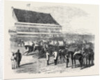 The Derby Day: The Preliminary Canter by Anonymous