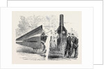 Winan's Steam Battery Invented by Dickinson 1861 by Anonymous