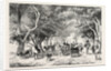 The Avenue at Shoobra, Egypt, Engraving 1879 by Anonymous