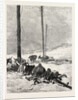 Telegraph Wires in the Desert by Anonymous