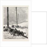 Telegraph Wires in the Desert by Anonymous