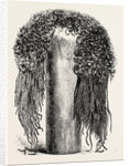 Old Egyptian Lady's Wig by Anonymous