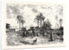 Cairo; From The Left Bank of the Nile by Anonymous