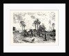 Cairo; From The Left Bank of the Nile by Anonymous