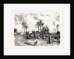 Cairo; From The Left Bank of the Nile by Anonymous
