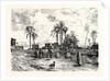 Cairo; From The Left Bank of the Nile by Anonymous