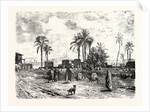 Cairo; From The Left Bank of the Nile by Anonymous