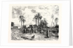 Cairo; From The Left Bank of the Nile by Anonymous