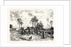 Cairo; From The Left Bank of the Nile by Anonymous