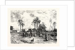 Cairo; From The Left Bank of the Nile by Anonymous