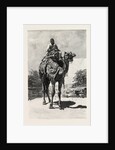 Camel Rider by Anonymous