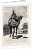Camel Rider by Anonymous