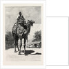 Camel Rider by Anonymous