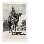 Camel Rider by Anonymous