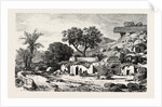 Village Near Assouan, Egypt, Engraving 1879 by Anonymous