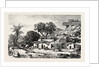 Village Near Assouan, Egypt, Engraving 1879 by Anonymous