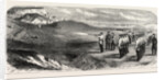 The Hon. Artillery Company of London Practising with the Rifle, Seaford, East Sussex, UK, 1858 by Anonymous