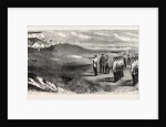 The Hon. Artillery Company of London Practising with the Rifle, Seaford, East Sussex, UK, 1858 by Anonymous