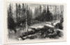 The Red River Expedition: Dawson's Road, 1870, Canada by Anonymous