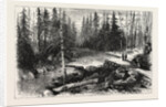 The Red River Expedition: Dawson's Road, 1870, Canada by Anonymous