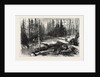The Red River Expedition: Dawson's Road, 1870, Canada by Anonymous
