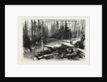 The Red River Expedition: Dawson's Road, 1870, Canada by Anonymous