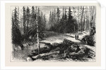 The Red River Expedition: Dawson's Road, 1870, Canada by Anonymous