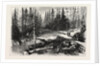 The Red River Expedition: Dawson's Road, 1870, Canada by Anonymous