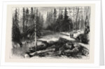 The Red River Expedition: Dawson's Road, 1870, Canada by Anonymous
