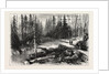 The Red River Expedition: Dawson's Road, 1870, Canada by Anonymous
