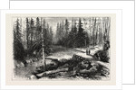 The Red River Expedition: Dawson's Road, 1870, Canada by Anonymous