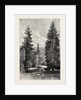 View from Marie Antoinette's Window in the Petit Trianon, France by Anonymous