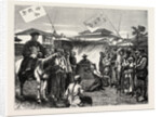 Execution of a Chinese Criminal by Anonymous