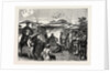 Execution of a Chinese Criminal by Anonymous