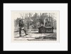 The German Gulliver in the French Lilliput, 1870 by Anonymous