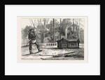 The German Gulliver in the French Lilliput, 1870 by Anonymous