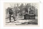 The German Gulliver in the French Lilliput, 1870 by Anonymous