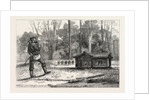 The German Gulliver in the French Lilliput, 1870 by Anonymous