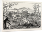 A Peep at Mont Valerien: The Woods of Celle St. Cloud, France, 1870 by Anonymous