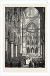 The Cathedral of St. Finn Barr, Cork, 1870 by Anonymous