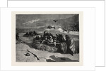 Buried Quick and Unburied Dead, 1870 by Anonymous