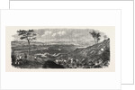 The Gold Fields of Australia: Ballarat, 1865 by Anonymous