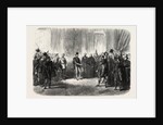 Reception of Hungarian Nobles by the Emperor of Austria at Budapest, Hungary by Anonymous