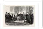 Reception of Hungarian Nobles by the Emperor of Austria at Budapest, Hungary by Anonymous